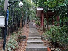 -顺峰山公园