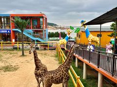 -西霞口神雕山野生动物世界