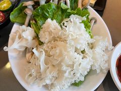 珍菌拼盘-享月汤皇·海鲜小火锅·聚会(曲江创意谷店)