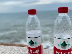 -小麦岛公园
