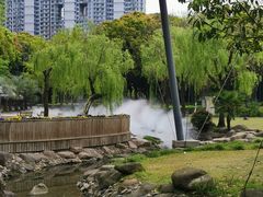 -苏州河梦清园环保主题公园