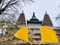 -北京石刻艺术博物馆(五塔寺)