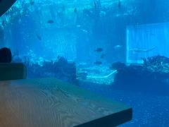 -海棠湾洲际-涛·海底餐厅·美人鱼·自助餐·海底隧道