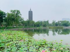 -西海子公园