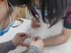 -中农大我爱我爱动物医院·核磁CT·猫病·24小时夜诊中心(石佛营店)