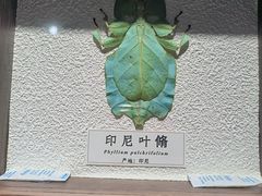 -南山植物园