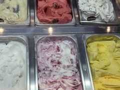 -iceason爱茜茜里·意大利健康冰淇淋(骑龙巷店)