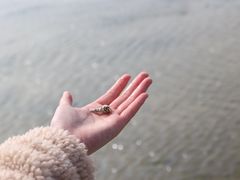 -红树林天天赶海