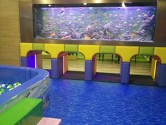 -御池园(顾村公园店)