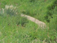 -白鹭湾湿地公园