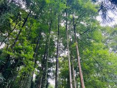 -太阳湾风景区
