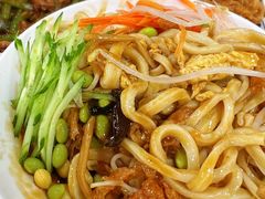 三鲜打卤面-九河居(荔湾路店)
