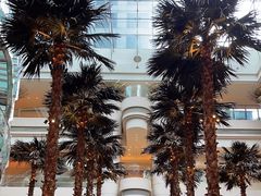 -威斯汀舞台餐厅