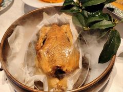 -桂满陇·海市蜃楼·黑金(国金店)