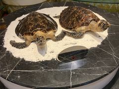 -电谷雅阁国际大酒店