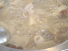 -蘑统田下·野生菌火锅