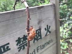 -云峰山自然风景区