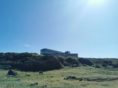 -涉地可支