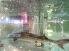 -兄弟爬爬虾(北京路店)