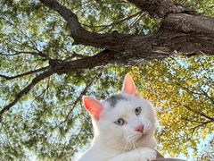 -太二酸菜鱼(石家庄万象城店)