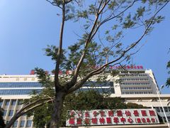 -厦门威斯汀酒店
