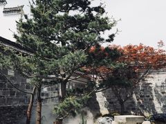 -慈城古县城景区