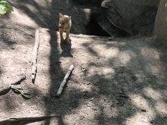 -哈尔滨北方森林动物园