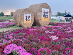 -嘉北郊野公园