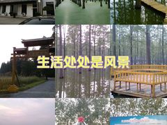 -渌洋湖湿地公园