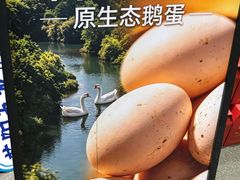 -单家老院·院子里的青岛菜(沙子口店)