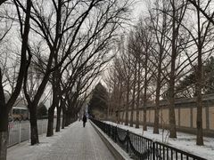 -东丽温泉羽毛球