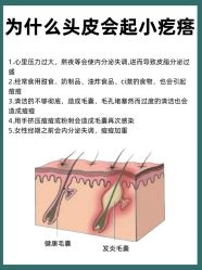 -Bollins波林丝•专研护发中心