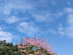 -火炉山森林公园