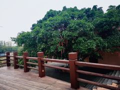 -东寨港红树林旅游区