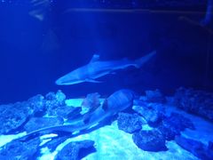 -zoonana室内动物园(东方福来德店)