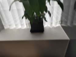 -程Studio