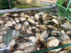 -大茄来海鲜餐厅(亚洲城分行)