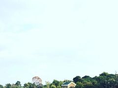 -鹤之洲湿地公园