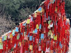 -香山公园