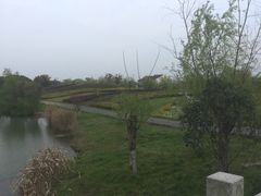 -梁鸿国家湿地公园