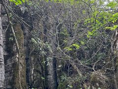 -山王坪喀斯特国家生态公园