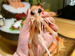 -割烹旭日本料理(龙湖狮山天街店)