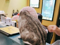 -谜盒子奇幻密室(南屏店)
