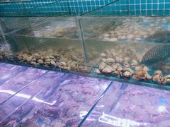 -海韵之星邮轮水会(明发商业广场店)