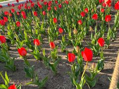 -长春公园(普阳街道)