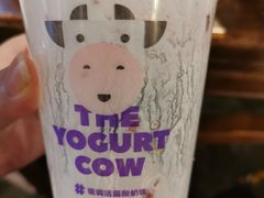 -一只酸奶牛(百联南岸上海城店)