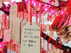-深圳失恋博物馆再见前任(汇商名苑店)