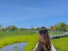 -长兴太湖图影湿地文化园