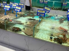 水产区-老船夫婚宴婚庆会馆(延吉路店)