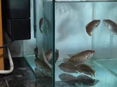 -海珠儿童公园